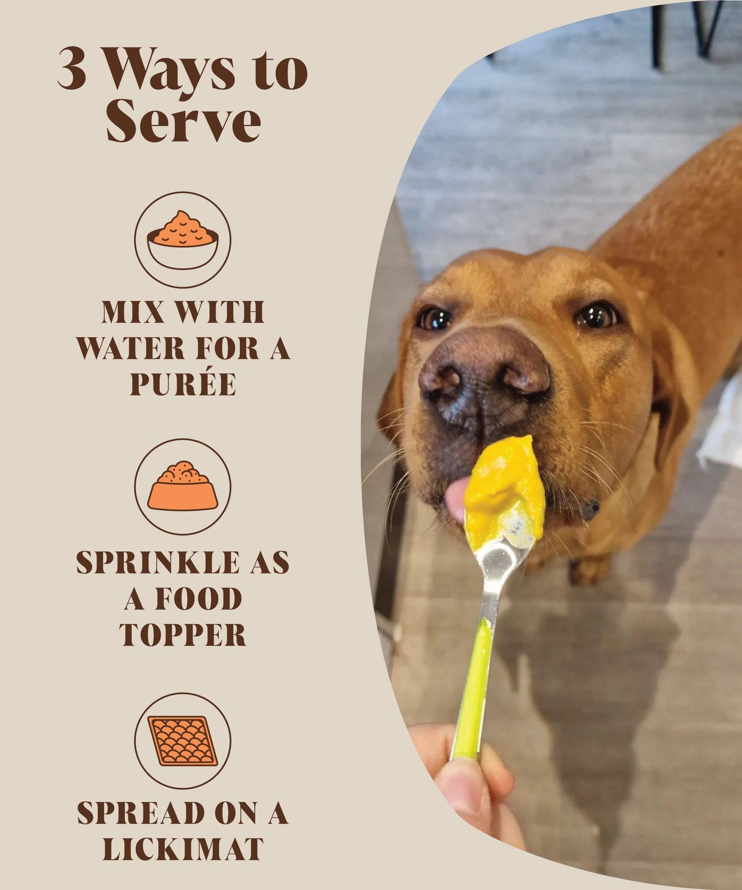 Hackney House Pumpkin Powder For Dogs