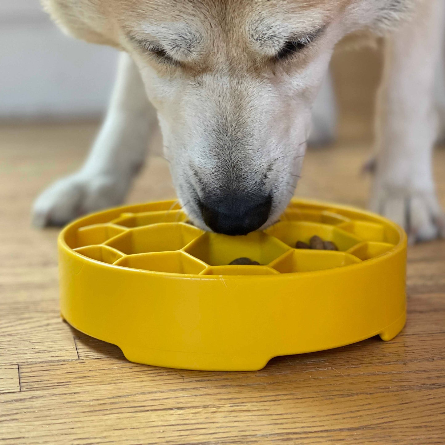 Honeycomb eBowl Deep Slow Feeder Dog Bowl - Yellow