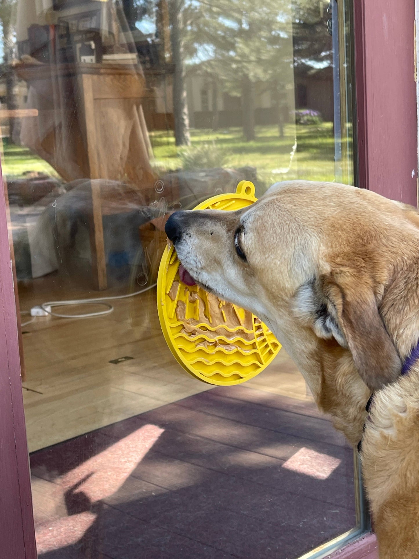 Sodapup Sun n' Sea eMat Enrichment Lick Mat With Suction Cups: Yellow